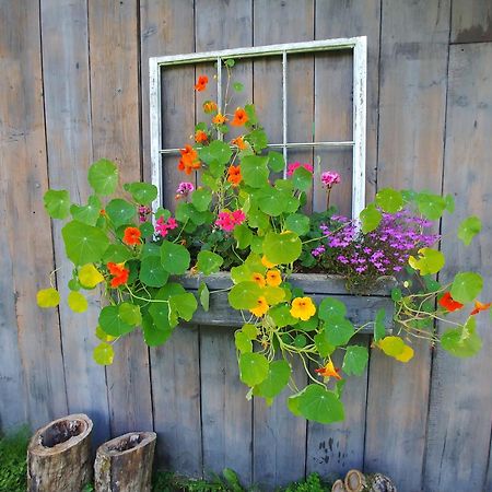 Spacious Country Retreat Close To Town And Nature, Sylvana Farm Vt Montpelier Buitenkant foto