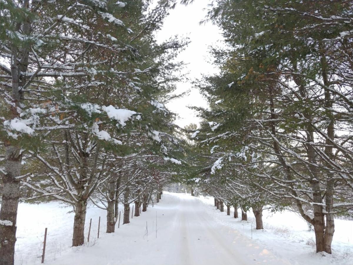 Spacious Country Retreat Close To Town And Nature, Sylvana Farm Vt Montpelier Buitenkant foto