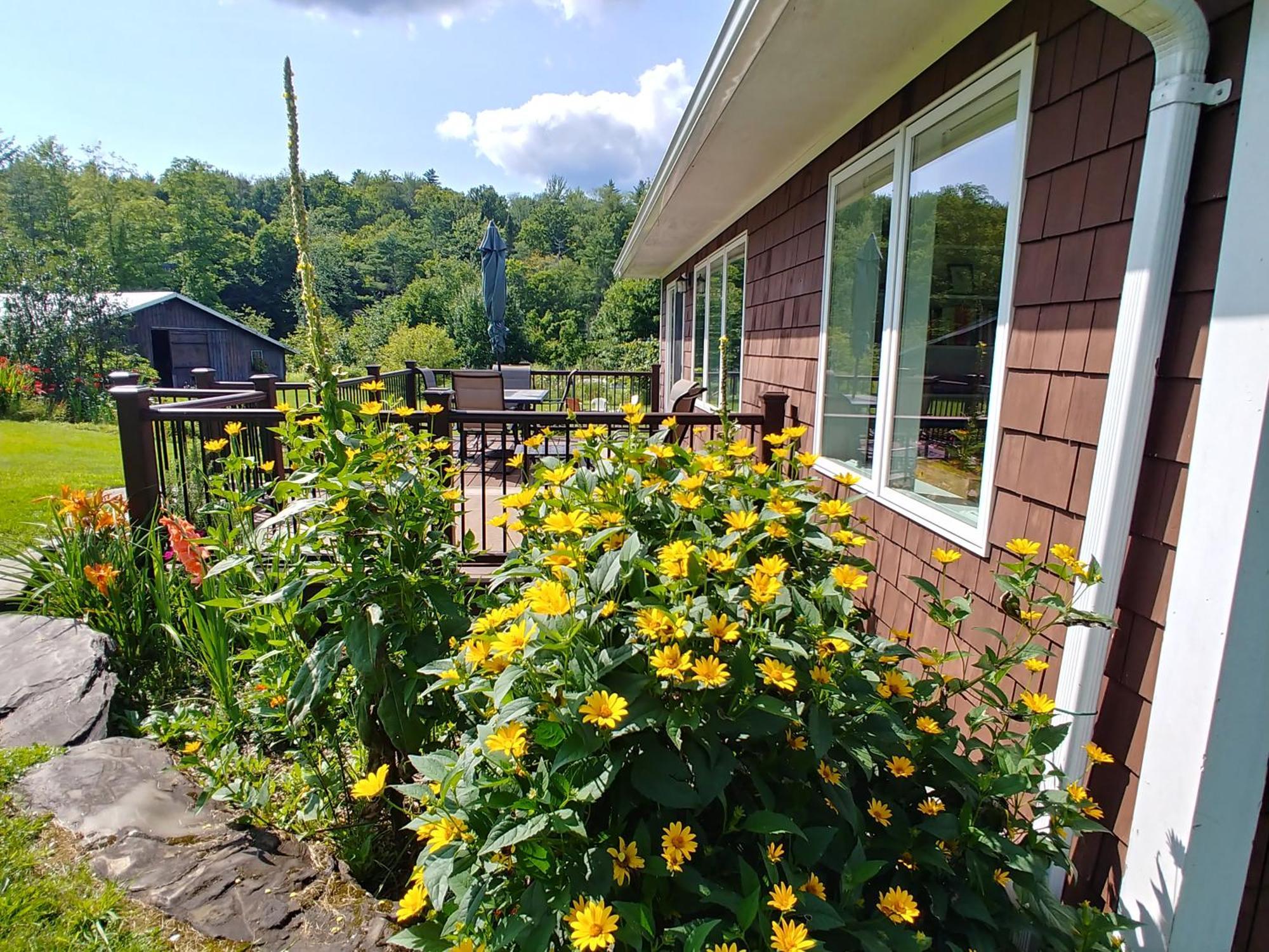 Spacious Country Retreat Close To Town And Nature, Sylvana Farm Vt Montpelier Buitenkant foto