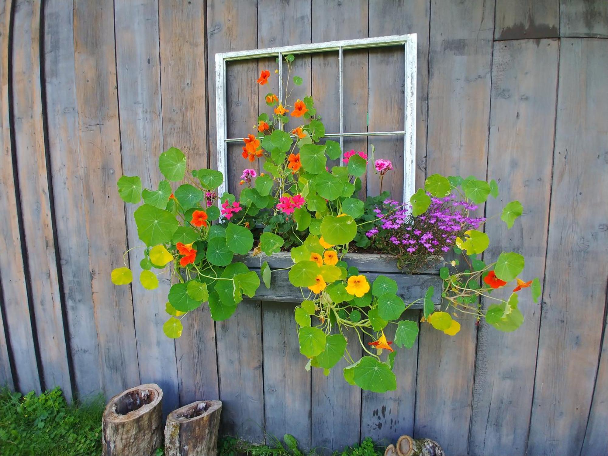 Spacious Country Retreat Close To Town And Nature, Sylvana Farm Vt Montpelier Buitenkant foto